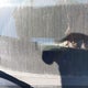 WDDHF8JB3DA679204 2013 Mercedes-Benz E 350 4Matic auction photo thumbnail 9