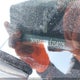 3KPF54AD3LE254026 2020 Kia Forte Ex/Ex Limited/Ex Premium/Ex+ auction photo thumbnail 20