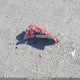 KNDJ33AU8N7177800 2022 Kia Soul Ex auction photo thumbnail 12
