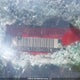 1GMDX03E71D284012 2001 Pontiac Montana Gt/Se/Ss auction photo thumbnail 9