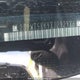 2G1WT58K981292986 2008 Chevrolet Impala Lt auction photo thumbnail 9