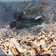 KMHHT6KD7AU032673 2010 Hyundai Genesis 2.0T Premium auction photo thumbnail 9