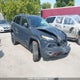 1C4PJMBS5HW551762 2017 Jeep Cherokee Trailhawk auction photo thumbnail 1
