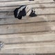 1FT8W4DT4HEB62970 2017 Ford auction photo thumbnail 23