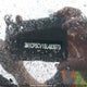 3N1CP5CV1SL483973 2025 Nissan Kicks Play Sv auction photo thumbnail 18
