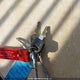 4YDT291226K134451 2006 Keystone Springdale auction photo thumbnail 11
