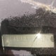 1FAHP33N69W154574 2009 Ford Focus Ses auction photo thumbnail 19