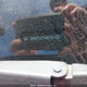 2HGFC2F54KH011261 2019 Honda Civic Lx auction photo thumbnail 20