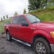 1FTEW1E82AFB64907 2010 Ford F-150 Xlt auction photo thumbnail 13