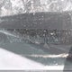 2HKRW2H2XHH116392 2017 Honda Cr-V Lx auction photo thumbnail 20