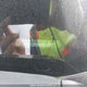 2HGFC2F55GH019361 2016 Honda Civic Lx auction photo thumbnail 19