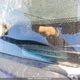 1C6RR7HT7FS632406 2015 Ram 1500 Sport auction photo thumbnail 19