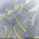 5N1AR18W45C700484 2005 Nissan Pathfinder Le auction photo thumbnail 18