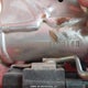 JH2KE0366PK500180 2023 Honda Crf150 R auction photo thumbnail 10