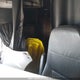 1FUJHHDR1NLMW8774 2022 Freightliner New Cascadia 126 auction photo thumbnail 5