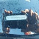 WA1MFCFP0EA029354 2014 Audi Q5 Progressiv auction photo thumbnail 9