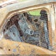 3GNAXUEG1PS201686 2023 Chevrolet Equinox Lt auction photo thumbnail 8