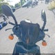 RFVCPP20X71001598 2007 Scooter Pgo T-Rex auction photo thumbnail 5