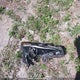 KMHLN4AJ6PU074454 2023 Hyundai Elantra Limited auction photo thumbnail 12