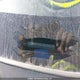 KMHDU4BD3AU936259 2010 Hyundai Elantra Gl auction photo thumbnail 18