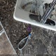 4YDT26620F3101238 2015 Keystone Keystone auction photo thumbnail 11