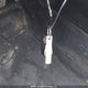 2HGFC2F54KH013012 2019 Honda Civic Lx auction photo thumbnail 11