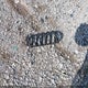 3VW267AJ3GM316066 2016 Volkswagen Jetta auction photo thumbnail 12