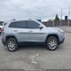 1C4PJMDS7EW131395 2014 Jeep Cherokee auction photo thumbnail 13