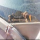 2HGFG1B06BH002005 2011 Honda Civic auction photo thumbnail 9