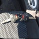 3N1CE2CP1HL363069 2017 Nissan Versa Note 1.6 S/1.6 Sl/1.6 Sr/1.6 Sv auction photo thumbnail 11