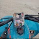 RF39GA929ST008630 2025 Can-Am Renegade 110 Efi auction photo thumbnail 7