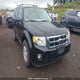 1FMCU0DG6BKB67779 2011 Ford Escape Xlt Automatic auction photo thumbnail 1