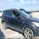 1FMCU9G95DUD59574 2013 Ford Escape Se auction photo thumbnail 6