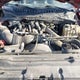 1FT7W2BT1KED20255 2019 Ford F-250 Xlt auction photo thumbnail 10