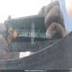 JN8AF5MV5GT660246 2016 Nissan Juke Nismo/Sl/Sv auction photo thumbnail 9