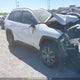 2T3RWRFV8RW186327 2024 Toyota Rav4 auction photo thumbnail 1