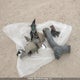 2C4RDGBG0DR666592 2013 Dodge Grand Caravan Se auction photo thumbnail 11