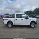 1FTEW1EG3HFB55716 2017 Ford F-150 Xlt auction photo thumbnail 14