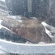JM1BL1HF1A1238658 2010 Mazda 3 I auction photo thumbnail 9