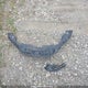 2HGFE2F36NH108880 2022 Honda Civic auction photo thumbnail 11