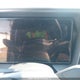 3GKALUEG1SL310774 2025 GMC Terrain Elevation auction photo thumbnail 7