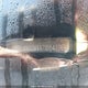 KNAGM4A73D5422694 2013 Kia Optima Lx auction photo thumbnail 19