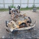 1FTFW3L82RKF07804 2024 Ford F150 Xlt auction photo thumbnail 11