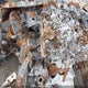 1FTFW3L82RKF07804 2024 Ford F150 Xlt auction photo thumbnail 14