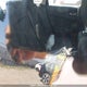 2HGFC2F59LH031460 2020 Honda Civic Lx auction photo thumbnail 8