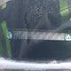 2HNYB1H43AH000107 2010 Acura Zdx Technology auction photo thumbnail 9