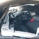 LRBFZSE45RD036777 2024 Buick Envision Avenir auction photo thumbnail 10