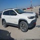 1C4PJMBXXKD187949 2019 Jeep Cherokee Trailhawk auction photo thumbnail 13