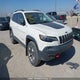 1C4PJMBXXKD187949 2019 Jeep Cherokee Trailhawk auction photo thumbnail 1