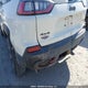 1C4PJMBXXKD187949 2019 Jeep Cherokee Trailhawk auction photo thumbnail 6